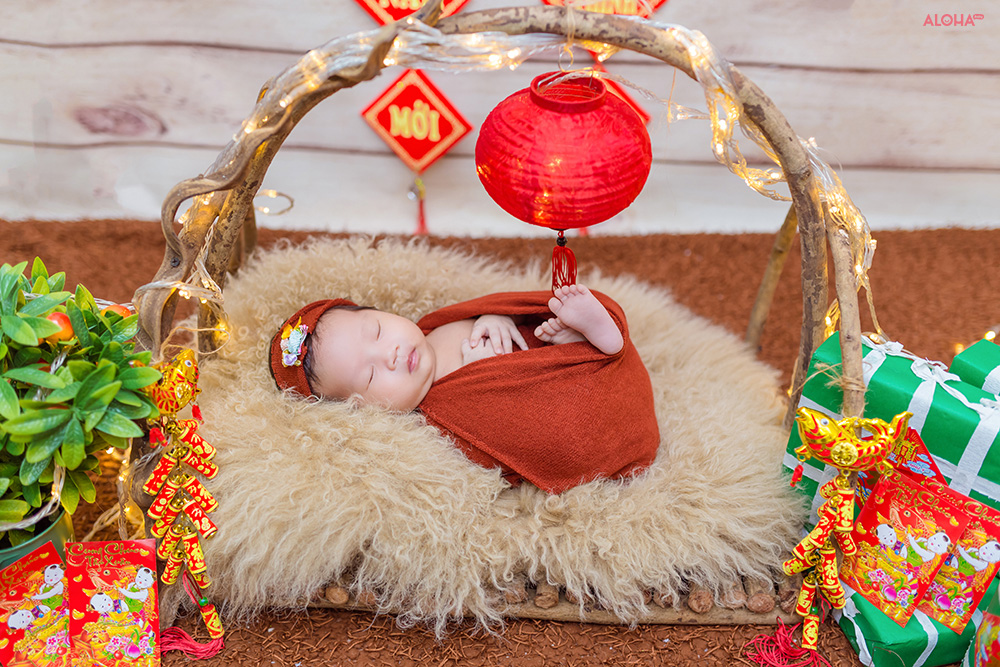 album ảnh newborn 14